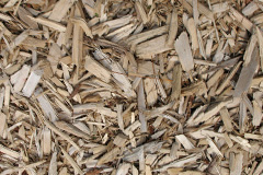 biomass boilers Tyberton
